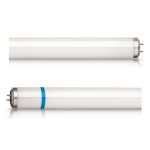 Philips TL-D Secura 18W - Blacklight | 60cm