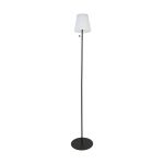 Eglo Floor Lamp Scordiano-L Steel Black 2W 220lm - 830-840-865 CCT | IP44 - USB-C
