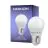 Noxion Lucent Lustre LED E27 Ball Frosted 2.5W 250lm - 827 Extra Warm White | Replaces 25W